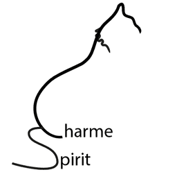 logo de Charme Spirit